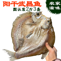 Yang Dried Wuchang Fish Bianzi Bianzi Hubei Specialty Honghu City Preserved Yang Dried Fish Marinated Aquatic Products SF