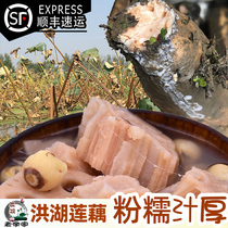 Old Yujia Honghu lotus root fresh powder glutinous is now digging Hubei specialty Wuhan Jiukong red powder lotus root with mud SF