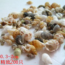 200 small conch handmade diy decorations Aquarium online shop advertising window design shooting props creativity
