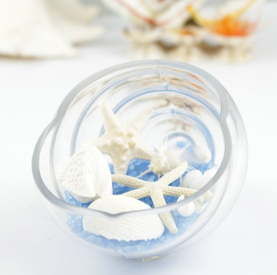 Siêu nhỏ màu trắng tự nhiên nhỏ sao biển đồ trang trí đạo cụ đám cưới Sáng tạo trang trí tường kính Địa Trung Hải - Trang trí nội thất phòng khách nhà cấp 4