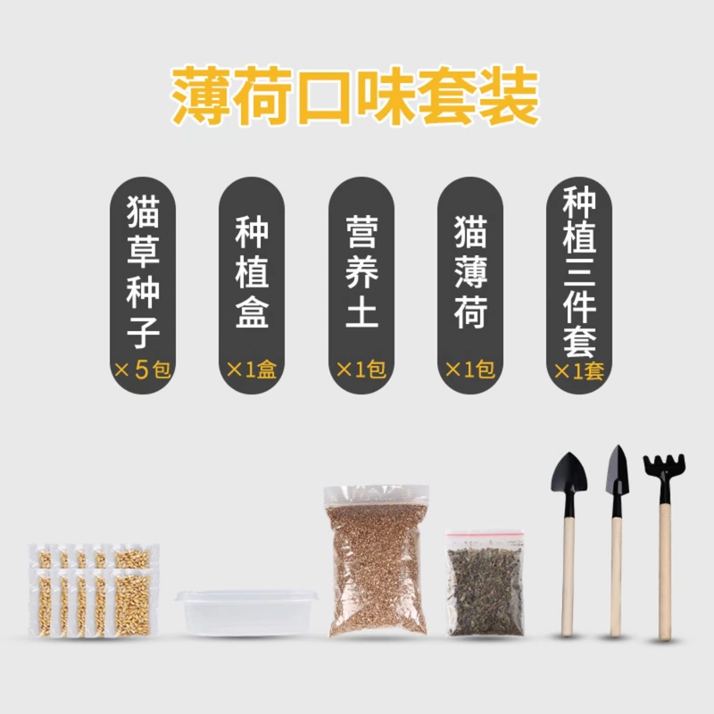 Cat cỏ hạt giống mèo cat ăn nhẹ để tóc bóng tóc kem mèo cỏ trồng thủy canh hạt giống mèo cung cấp - Đồ ăn nhẹ cho mèo