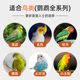 Budgerigar feed Xuanfeng special bird food shelled yellow millet millet peony bird food five-color millet mixed grain