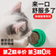 Catnip Ball Cat Toy Self-Hi Grinding Teeth Teasing Cat Artifact Lollipop Licking Fun Cat Stick Bite Resistant Cat Toy