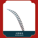 Танцевальные перья и перья весенний фестиваль Гала -тр.