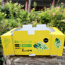  Sunshine rose grape packaging box gift box high-end portable gift box creative 5 kg 10 kg packaging box customized