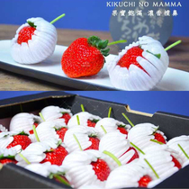  Apple strawberry pear decorative flower shockproof net cover Flower stand Lotus stand net pad Shockproof pad Foam stand Lotus petal net cover