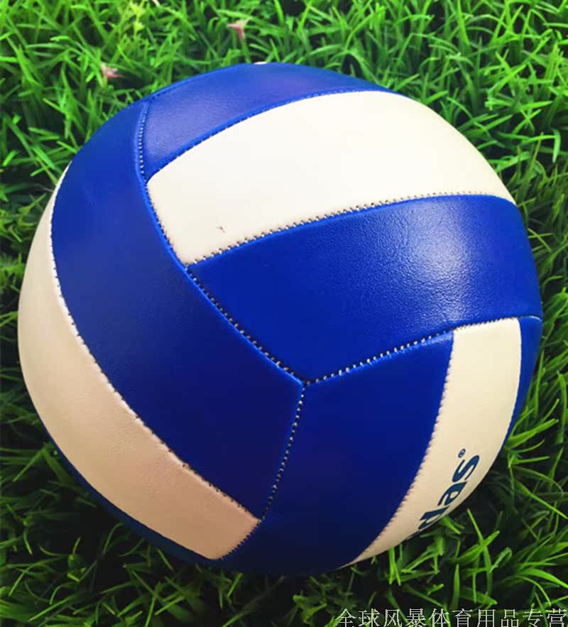 Ballon de volley-ball - Ref 2012050 Image 9