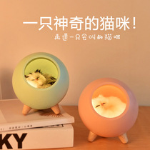 Little pet house atmosphere cat night light usb rechargeable ins girl heart sleep light bedroom dormitory cute bedside lamp