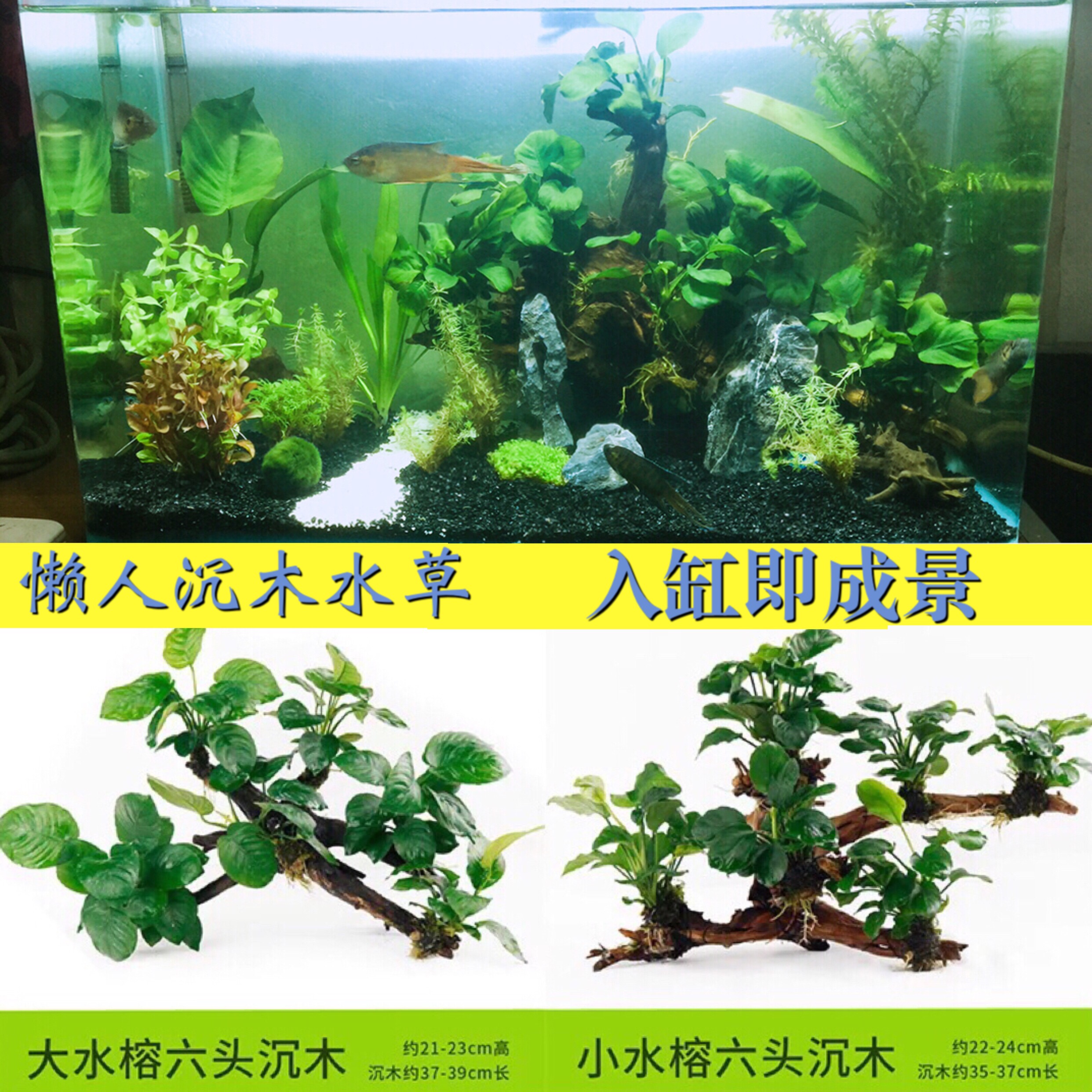 Freshwater plant small water Lander wood water grass Large water banyan Moss Seasons No Earth Oxygenated Fish Tank Building New Hands Sloth