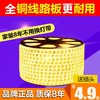 220V double row lights with led ultra-bright 5050 soft light bar 2835 living room ceiling light slot outdoor waterproof light belt