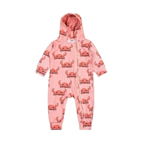 Маленький красный краб