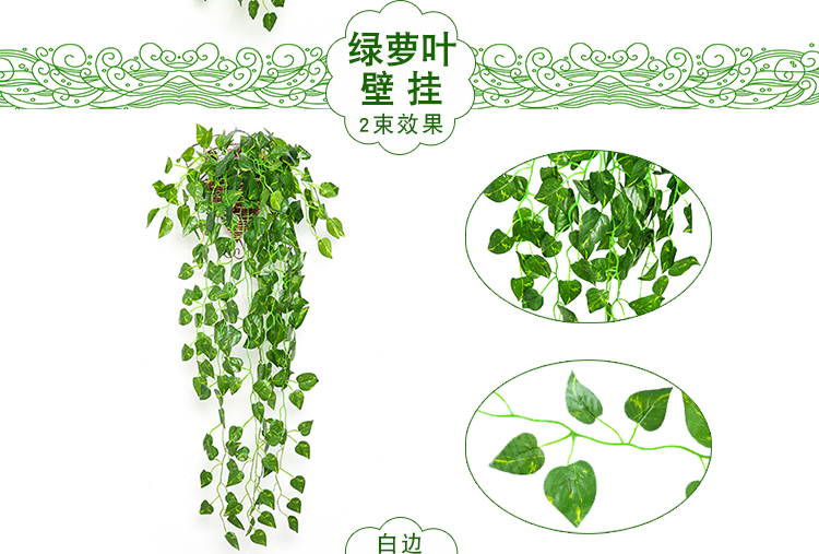 Cây mô phỏng hoa mây giả cây nho xanh lá cây treo hoa lan trong nhà phòng khách trang trí nhựa xanh hoa hồng treo tường màu xanh treo - Hoa nhân tạo / Cây / Trái cây bình hoa mộc lan giả