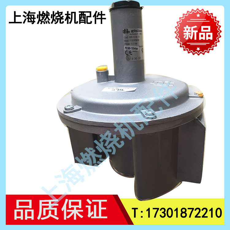 Giuliani FG1B15 FG1B15 FG1B40 FG1B40 FG1B50 FG1B32 FG1B20 ST1B65 ST1B65 ST1B65 ST1B65