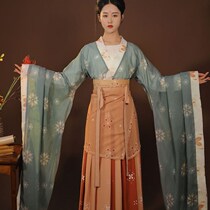 North and South Korean Han uniforms (lacquered) female students Affordable Large Sleeves Coat of printed ancient clothes Xianqi floating Wei Jin China Wind