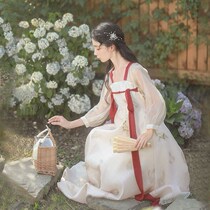 Hanfu to work in summer (lacquered) Female Affordable China Wind Zi-chest printed one-piece dress Summer improvement