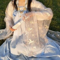 (Qi Du) Qi chest skirt large sleeve shirt Summer thin section Hanfu female cabbage full set of original ancient costume super fairy