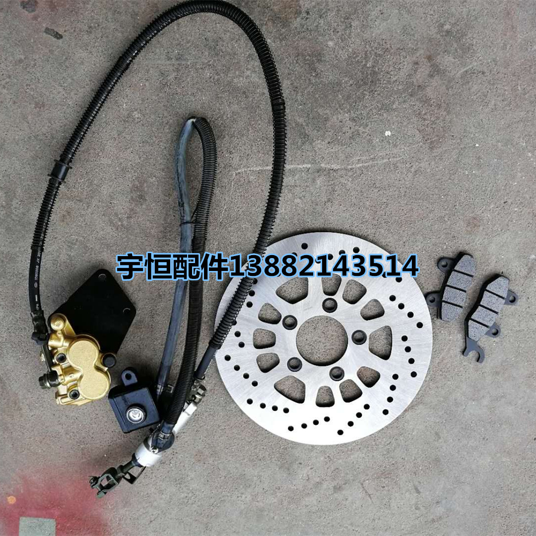 Phụ tùng xe máy Qianjiang Kaiwei Tai u 250-L / J bộ phận phanh đĩa phía sau đĩa phanh đĩa phanh đĩa phanh - Pad phanh má phanh dầu xe máy