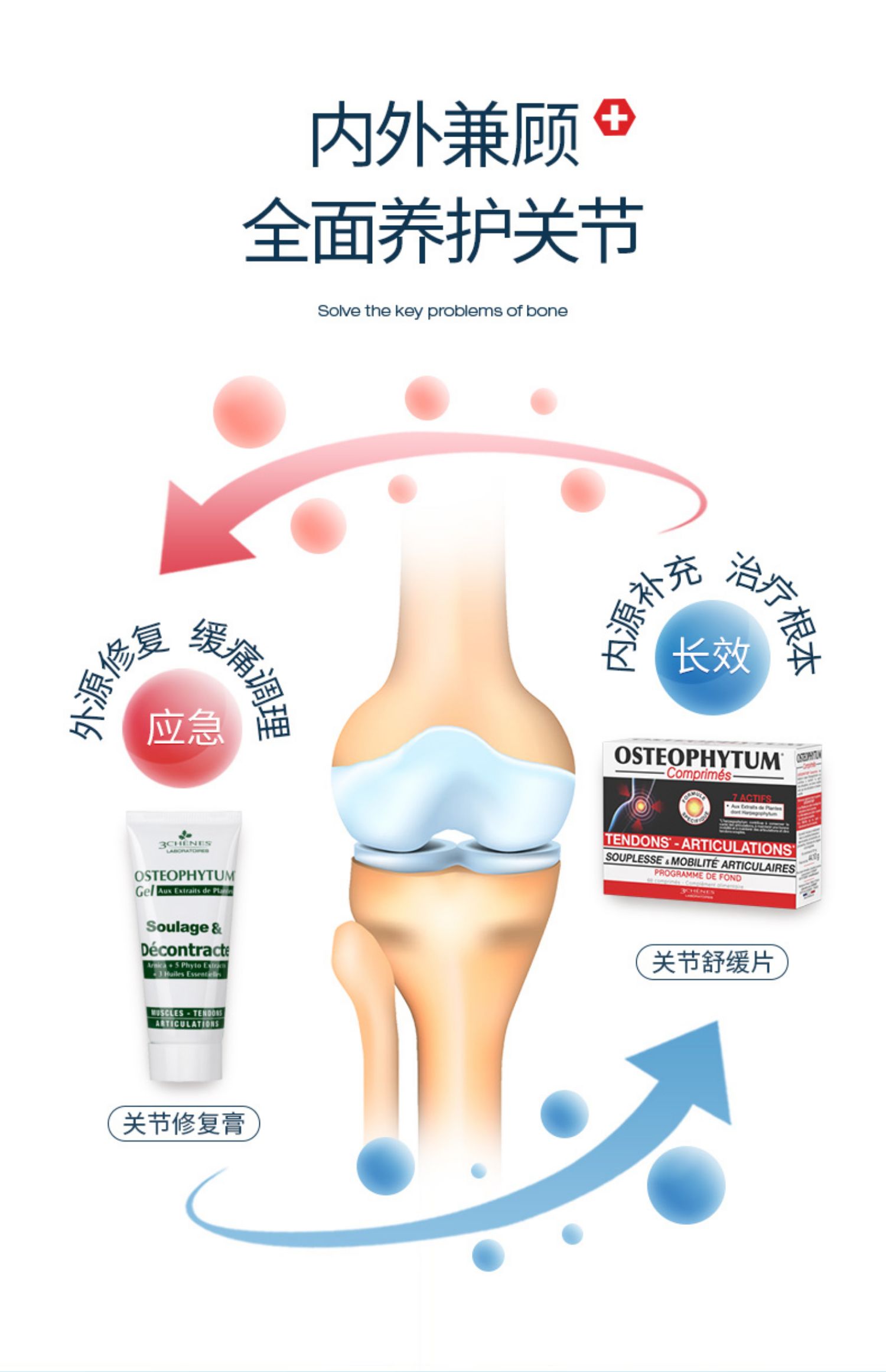 三橡树关节修复维骨力运动氨糖