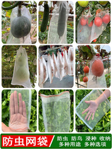 Orchard Anti-Bird-Proof Nylon Breeding Mesh Bag Vegetable Ground Anti-Drosophila Gauze Ventilation Light Transmission Isolated Pollen Mesh Hood