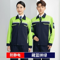 Костейный борьба и антистатическое зеленое и нижнее спрятанное синее