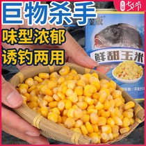 Dragon King hates fish bait corn bait carp grass carp tender sweet corn nest fish bait wild fishing