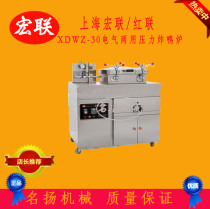 Honglian Shanghai Honglian XDWZ30 electric dual-purpose high pressure fryer fried duck hulling stove fried chicken