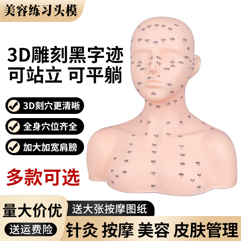 Beauty salon skin management model head model with shoulder dummy head half-body mold massage face wash model face