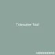 Специальное предложение Tidewater Teal's New Color