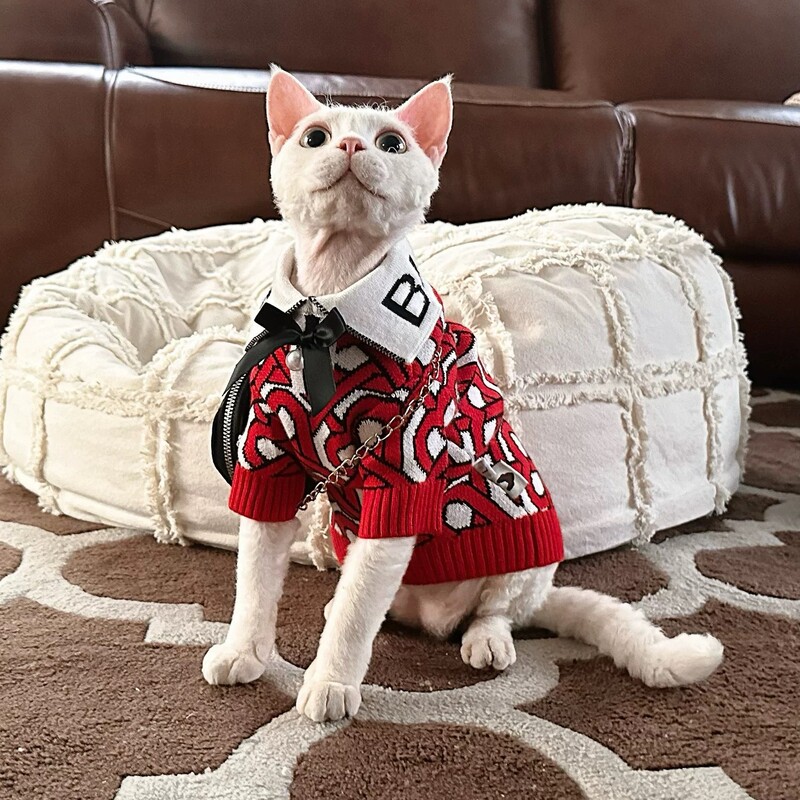 Pet Clothes for Dogs and Cats, Teddy Pomeranian Knitted Sweater, New Autumn and Winter Style, Lazy Loose-Fitting Stylish Pullover