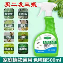 Green Lori Insecticide Deinsected Potted Indoor to go for small flying insects to kill insect repellent Floral plants Insect Repellent Green Plant Spray