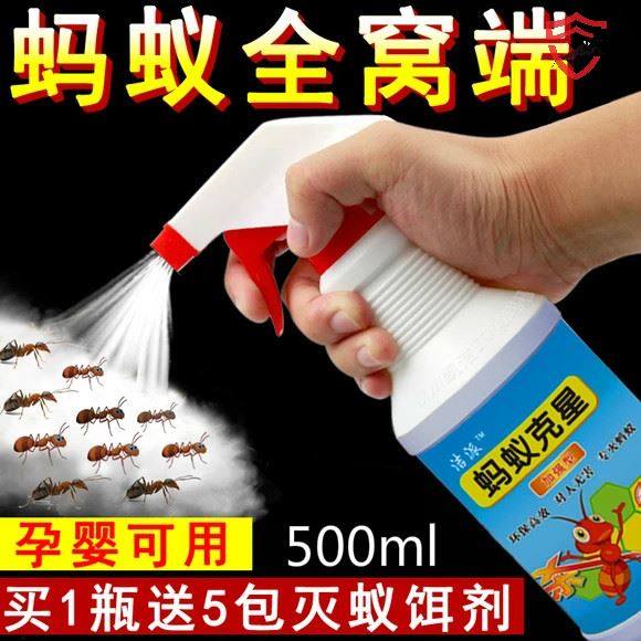 Total nest end for kitchen inside and outside of the eradication Ant drug room Home annihilator Rex Kills small Red Fire ants White Ant spray