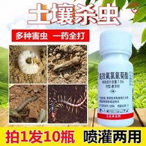 Floral Soil Insecticide Home Plant Underground Pest Gecko Shell Bug Aphids Little Black Fly Universal Potted Insect Killing Medicine