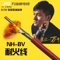 ten thousand Rayon refractory flame retardant wire NH-BV 1 5 2 5 4 6 squared emergency lighting fire power supply copper wire