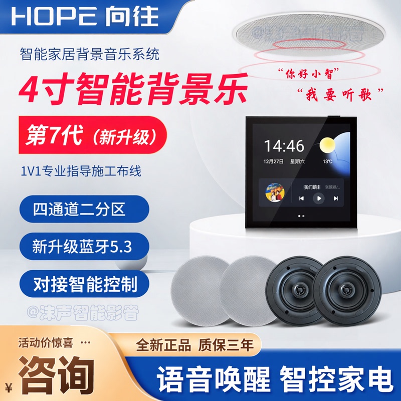 HOPE Z6 Smart Background Music Host Set Home Ceiling Speaker Audio System