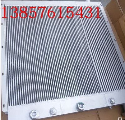 22176978 Agster cooler Sinmmein radiator Prias cooler Deman radiator