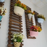 Гостиная стена стена цветочные стойки балкон подвесная стена цветочная рама растения скалолаза виноград