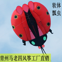 Qingzhou Ma Lao four software kite original patent Weifang kite umbrella Ladybug