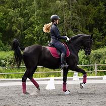 Chong Crown special price quality is not discounted sweat pad sweat drawer saddle pad