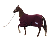 European padded brushed horse clothes padded spring and autumn horse clothes multicolor optional warm blood large size