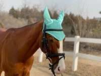 Мятные большие наушники