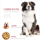 Thức ăn cho chó Shiba Inu Chó Akita Inu Thức ăn tự nhiên Chó vừa và nhỏ Chó Thức ăn cho chó Vườn Trung Quốc Thức ăn cho chó Dinh dưỡng Làm đẹp Tóc - Gói Singular