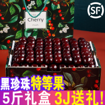 Chilean cherry import fresh fruit black pearl extra large fruit whole box 5 pound gift box cherry spot