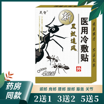 5 Send 5 pharmacy Shengzhi Black Ant chasing wind paste Ant through bone cream black ant cold compress God bone pain patch