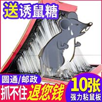 Mice patch powerful sticky rat board for rat-killing rat-rats invisible home stained with super-and super-nest end 10 sheets