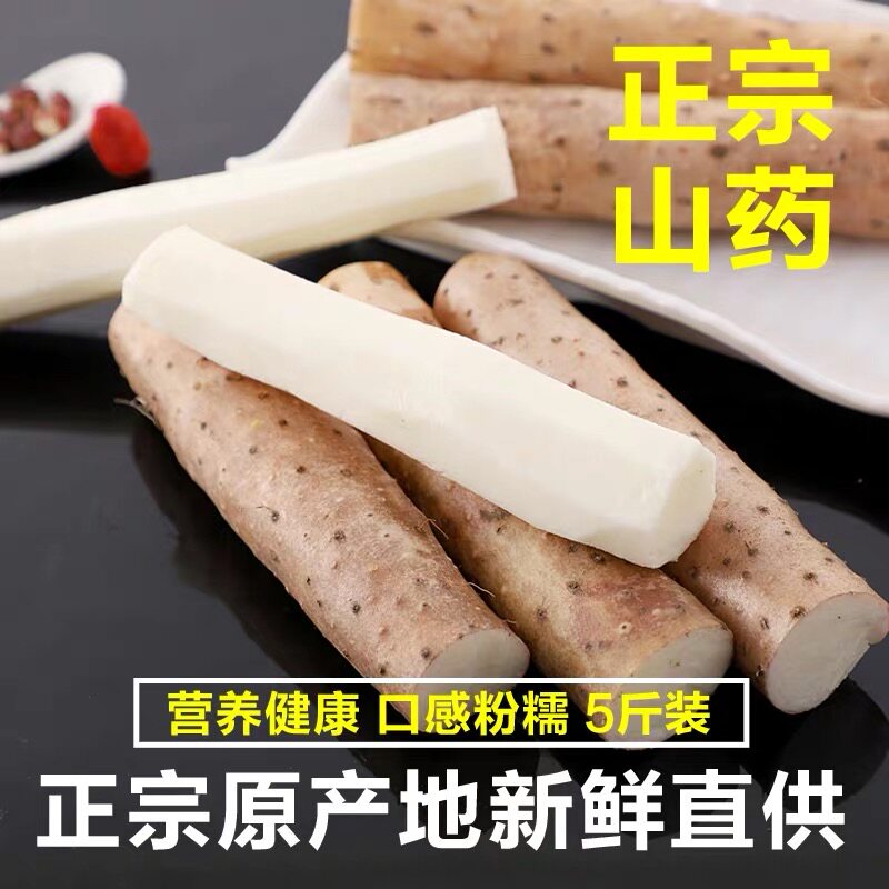 Xiaobaizui yam 5 catties fresh hemp yam farm vegetables loam iron stick yam Huaishan Huaishan pills