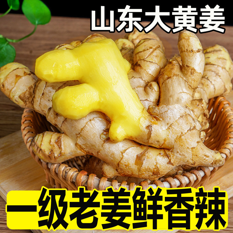 Ginger old ginger fresh and now dig big yellow ginger 5 catty ginger mother moon 10 tender ginger-sugar vinegar Ginger Red Ginger Bud