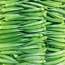 Okra 5kg fresh seasonal fruits and vegetables picked okra sheep bean farm specialty wholesale