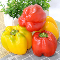 Fresh colored pepper sweet pepper 5kg colorful pepper Shouguang vegetable colorful pepper space pepper green pepper fresh vegetable