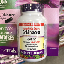 Stock Webber Echinacea Echinacea Extract Capsules ECHINACEA 160 Capsules 5040mg