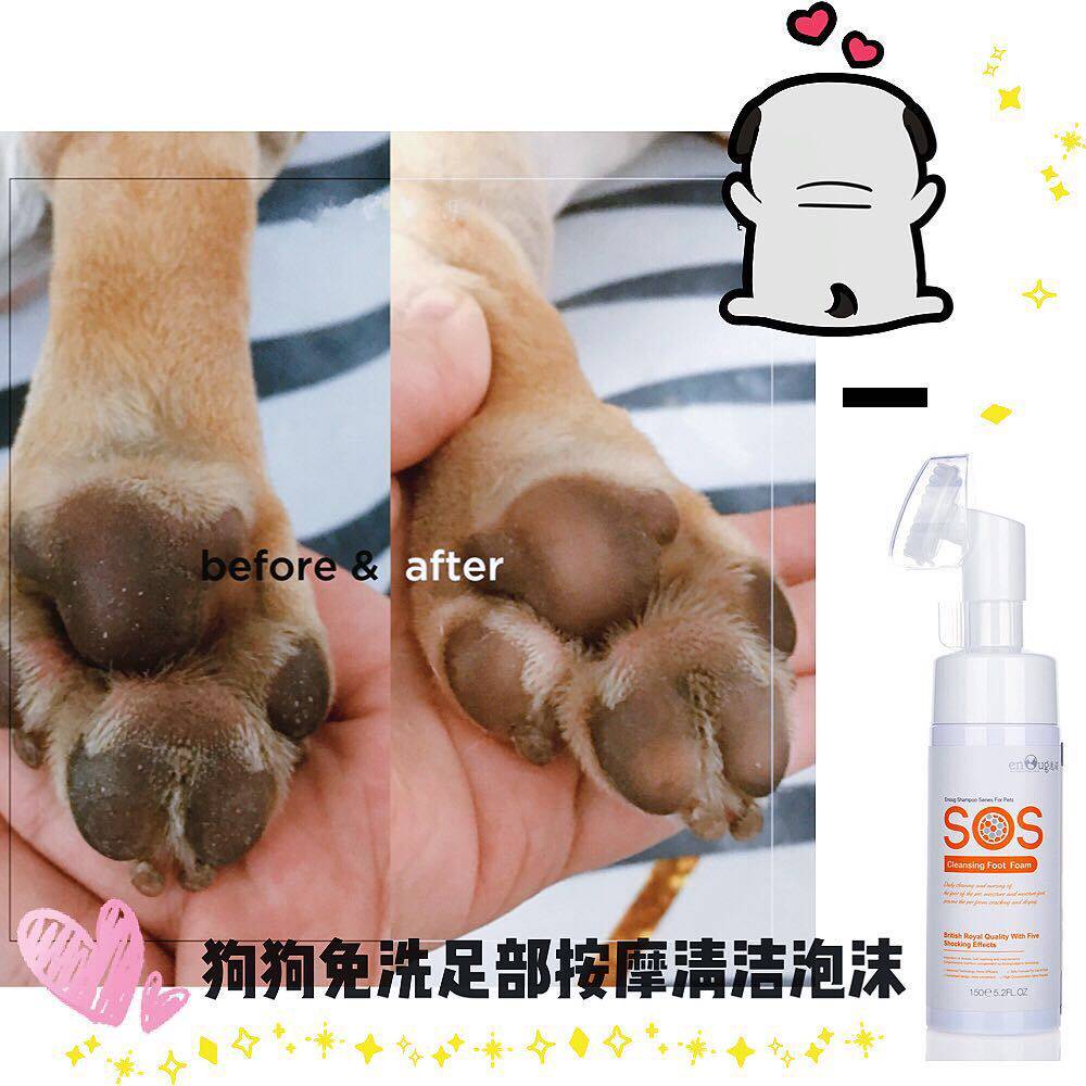 Pooch feet soles free of washing care cleaning foam method bulldog biha foot claws wash and nourish the feet